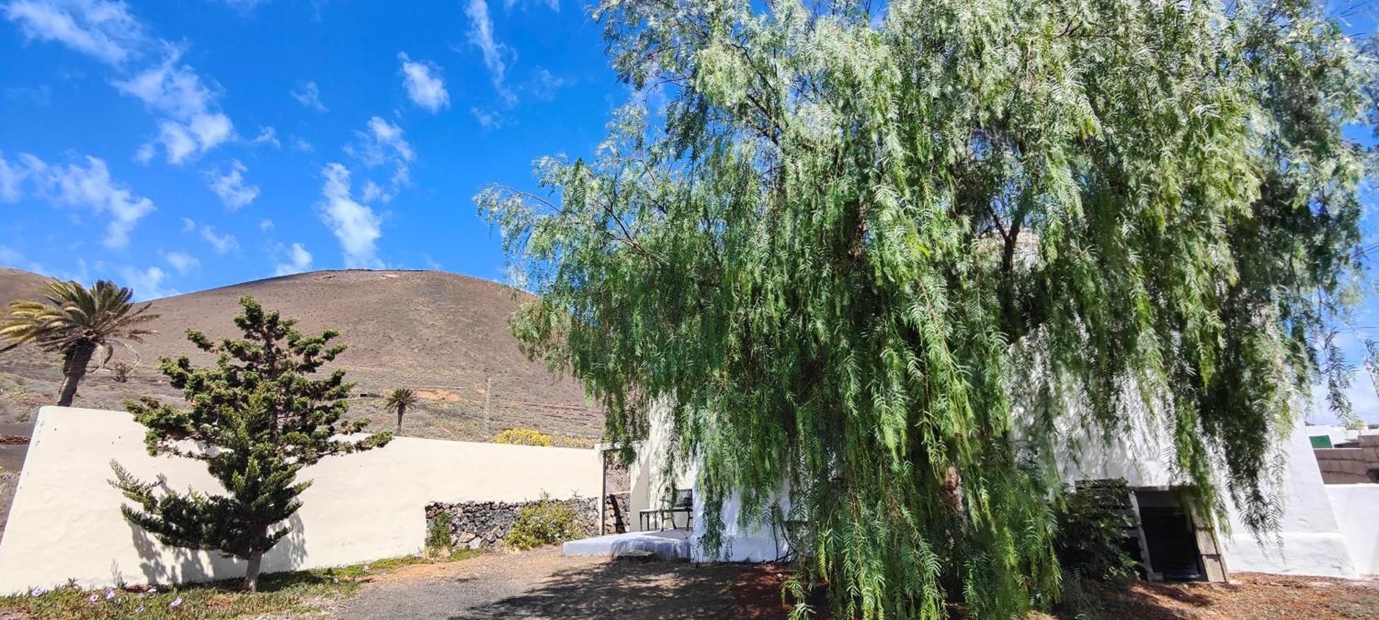 Máguez Casa Olgaヴィラ エクステリア 写真